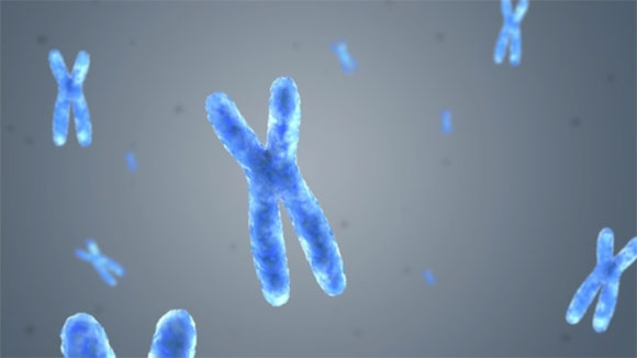 LaserGen DNA Sequencing Animation
